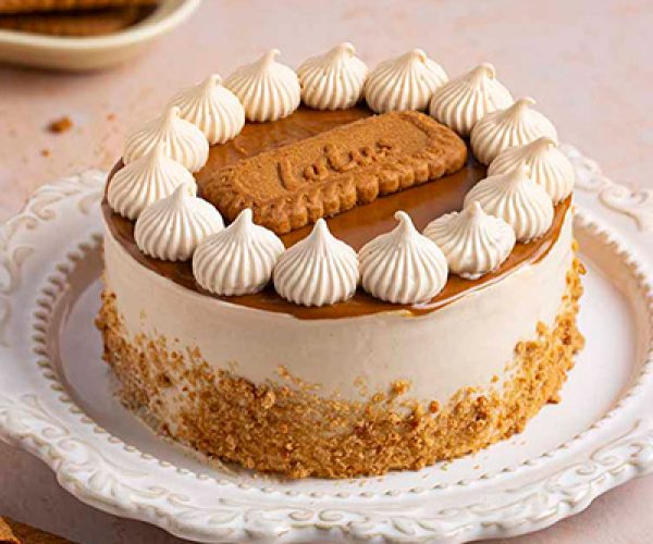 lotus biscoff truffle cake